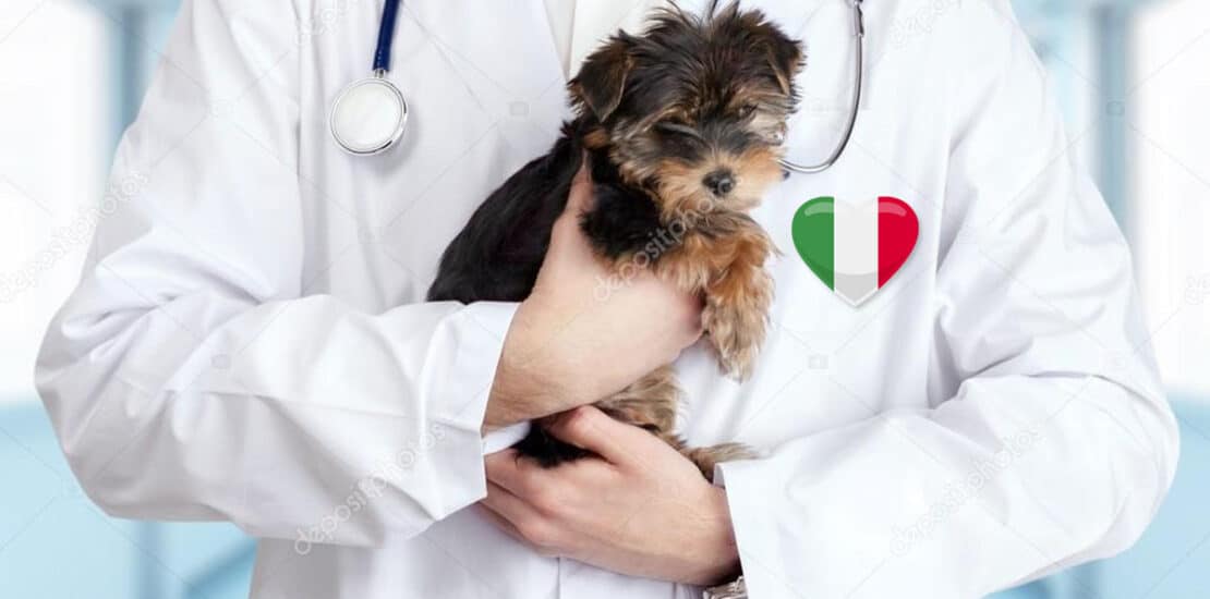 spese veterinarie 2022
