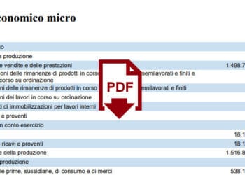 bilancio microimprese