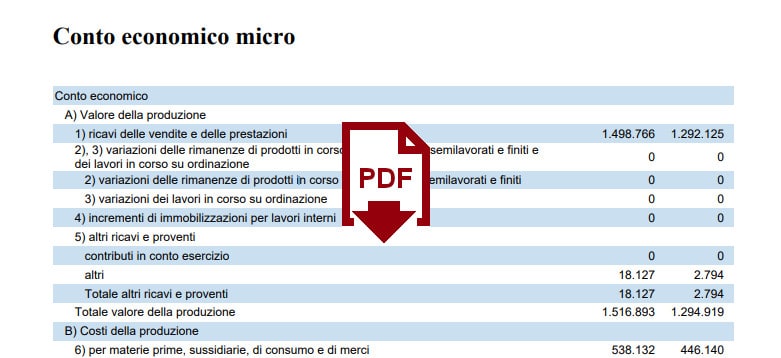 bilancio microimprese